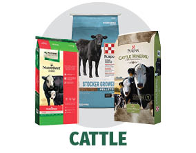 Shop Bomgaars for Cattle Feed Shop Bomgaars for Cattle Feed