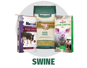 Shop Bomgaars for Swine Feed Shop Bomgaars for Swine Feed
