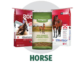 Shop Bomgaars for Horse Feed Shop Bomgaars for Horse Feed