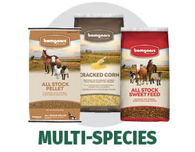 Shop Bomgaars for Multi-Species Feed Shop Bomgaars for Multi-Species Feed