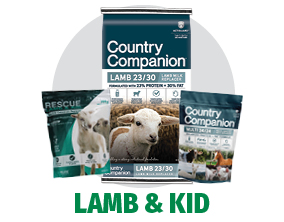 Lamb and Kid supplies Lamb and Kid supplies