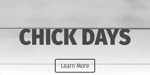 Chick Days Chick Days