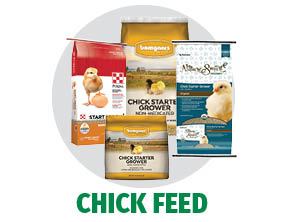 Chick Feed at Bomgaars Chick Feed at Bomgaars