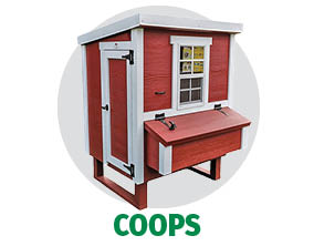 Chicken Coops at Bomgaars Chicken Coops at Bomgaars