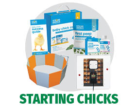 Chick Starting Supplies at Bomgaars Chick Starting Supplies at Bomgaars