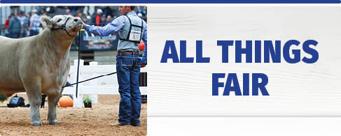 All Things Fair