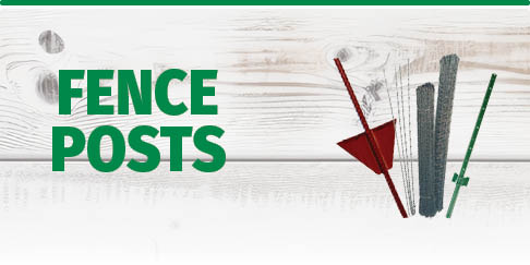 Fence Posts