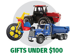 Toys Under $100