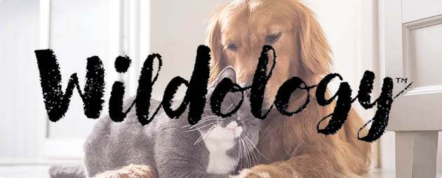 Wildology Products Wildology Products