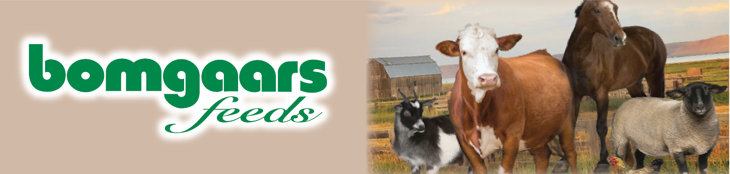 Bomgaars Private Brand Banner 2