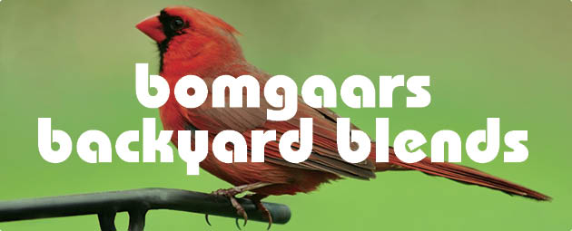 Bomgaars Backyard Blends Products Bomgaars Backyard Blends Products