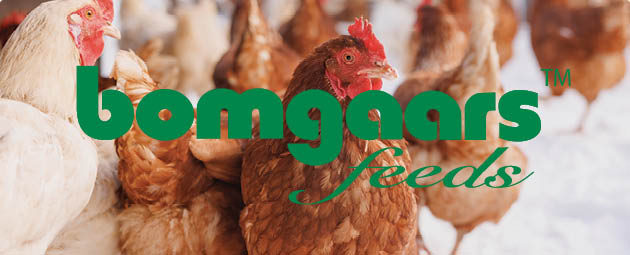 Bomgaars Feeds Products Bomgaars Feeds Products