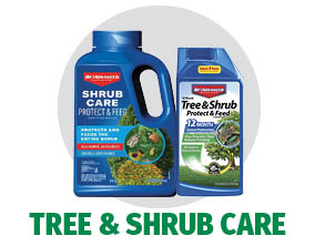 Tree and Shrub Care Tree and Shrub Care