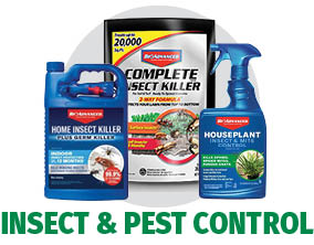 BioAdvance Insect & Pest Control BioAdvance Insect & Pest Control
