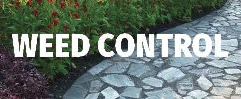 BioAdvance Weed Control BioAdvance Weed Control