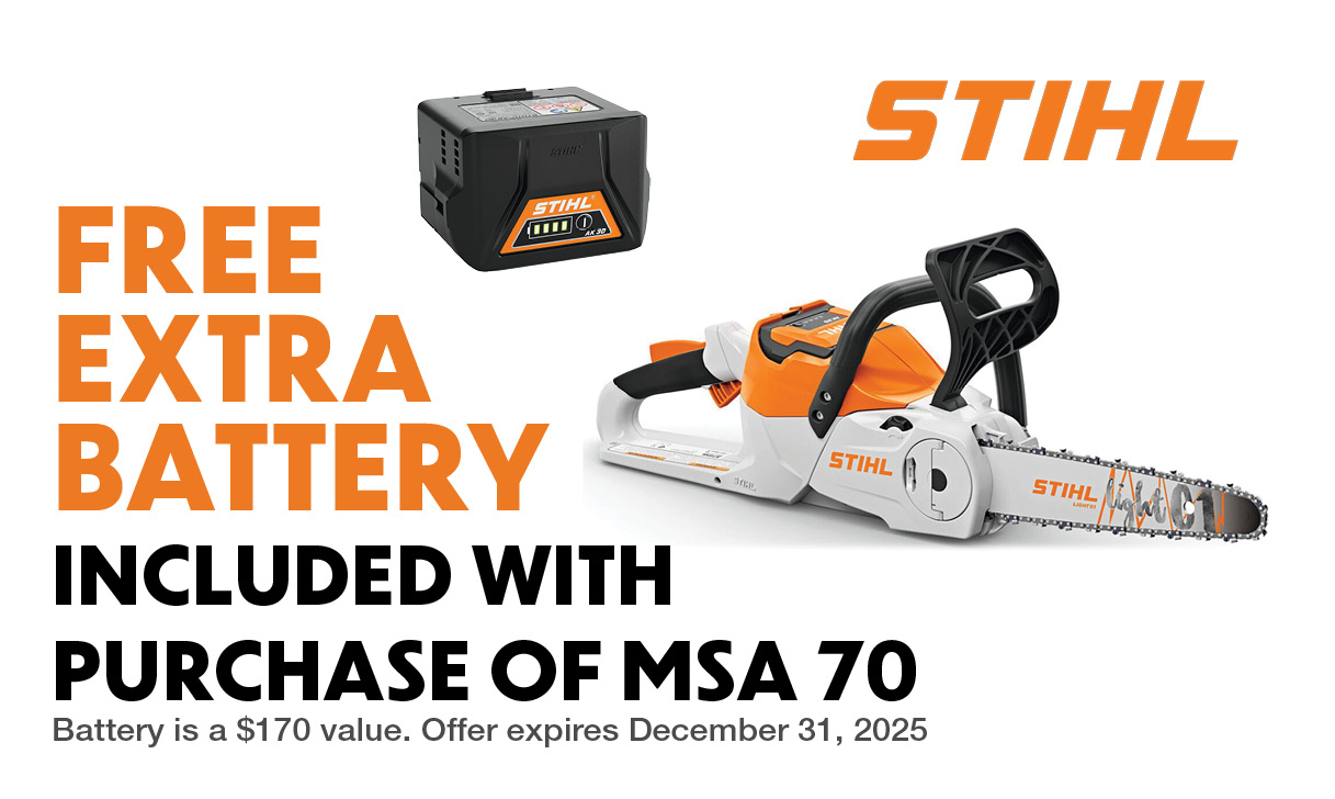 Stihl $50 Off MS 250 Chainsaw