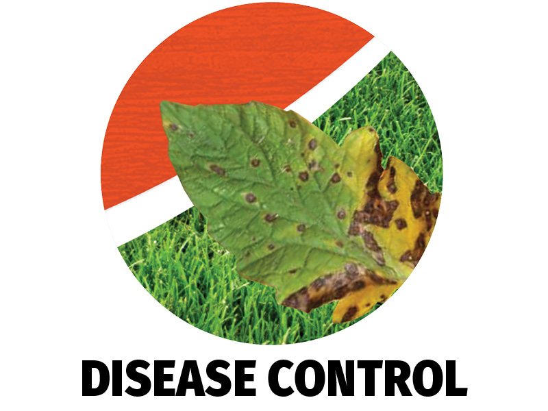 Disease Control