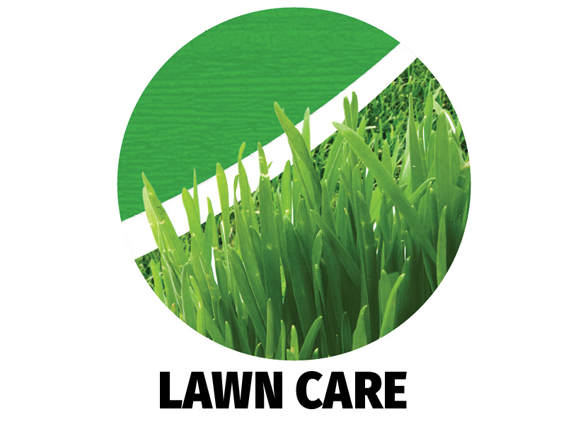 Lawn Care