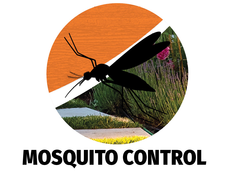 Mosquito Control