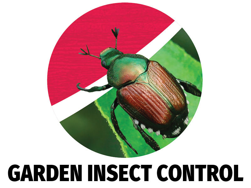 Garden Insect Control