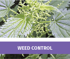 Weed Control
