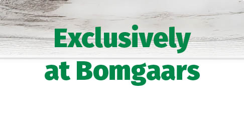 Bomgaars