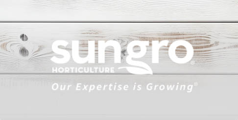 Sungro Sungro