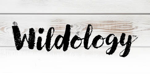 Wildology Wildology