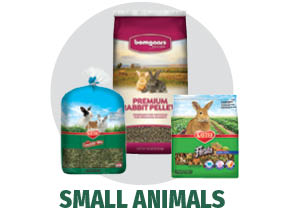 Small Animals