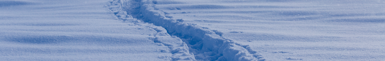 Snow Removal
