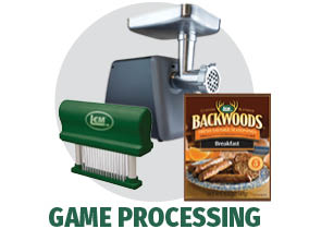Game Processing Game Processing