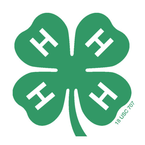 4-H Clover
