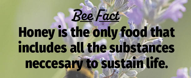 Honey includes all substances to sustain life.