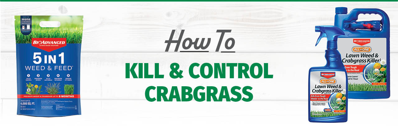 How to Kill and Control Crabgrass