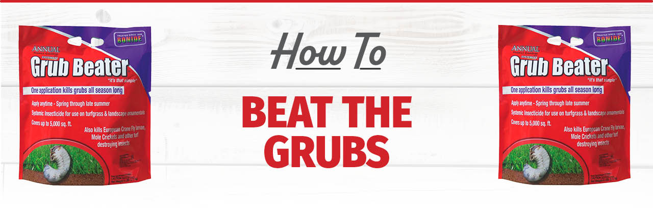 Beat the Grubs