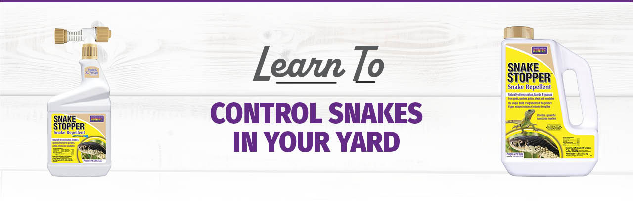 Controlling Snake In Your Yard
