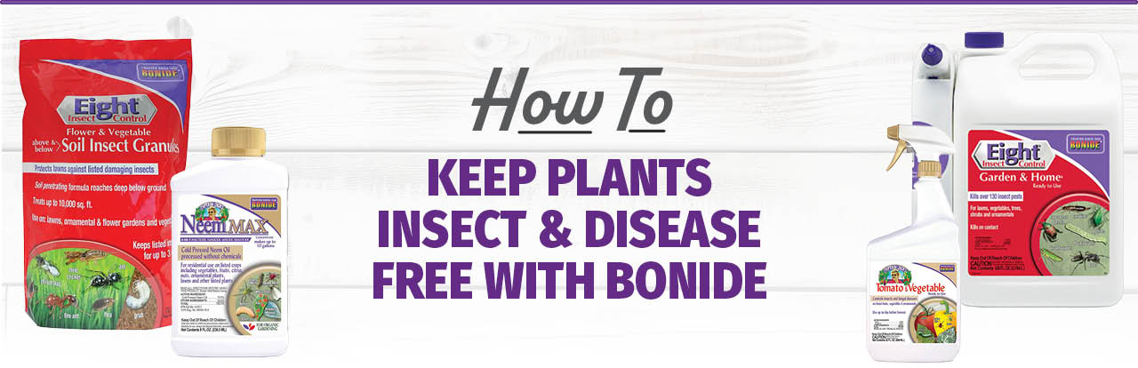 Keeping Your Plants Insect & Disease-Free with Bonide
