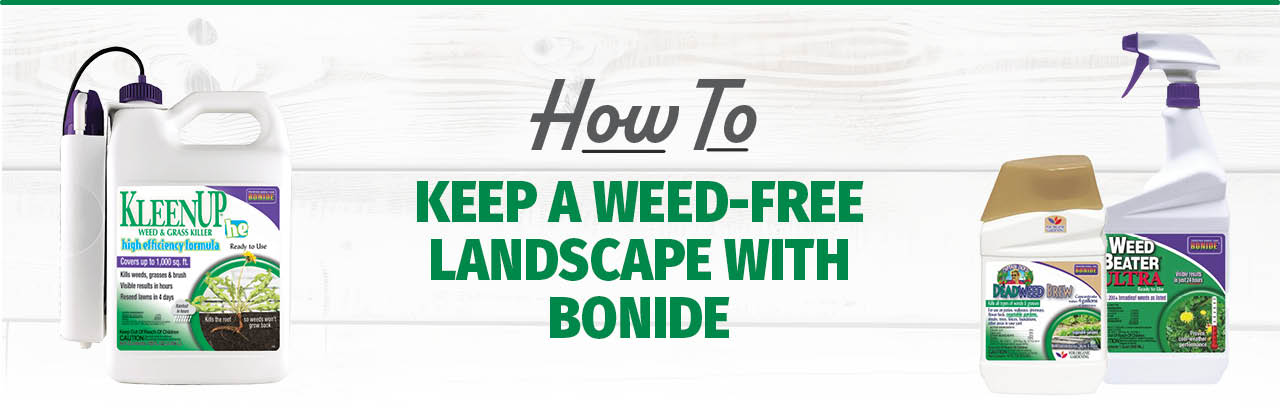 Keeping Your Landscape Weed-Free with Bonide