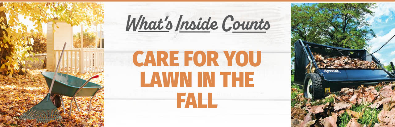 Fall Lawn Care - Bomgaars BLOG