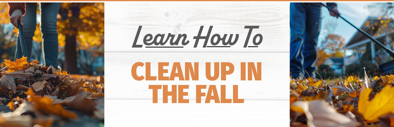 Fall Clean Up