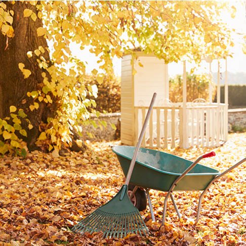Rake and Wheelbarrow with Leaves