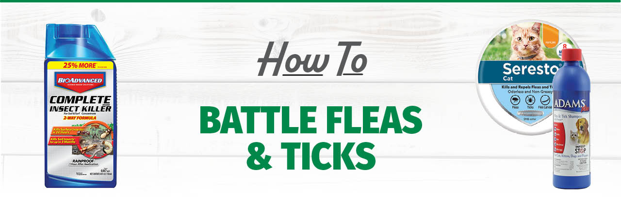 Battling Fleas and Ticks: Effective Strategies for Pets and Homes