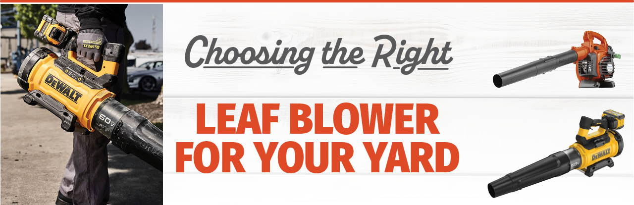 All You Need to Know When Choosing a Chainsaw