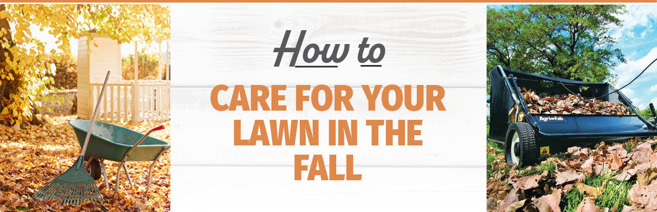 Fall Lawn Care - Bomgaars BLOG