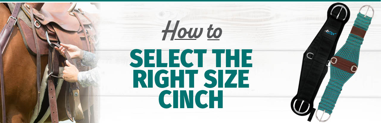 The right Size Cinch