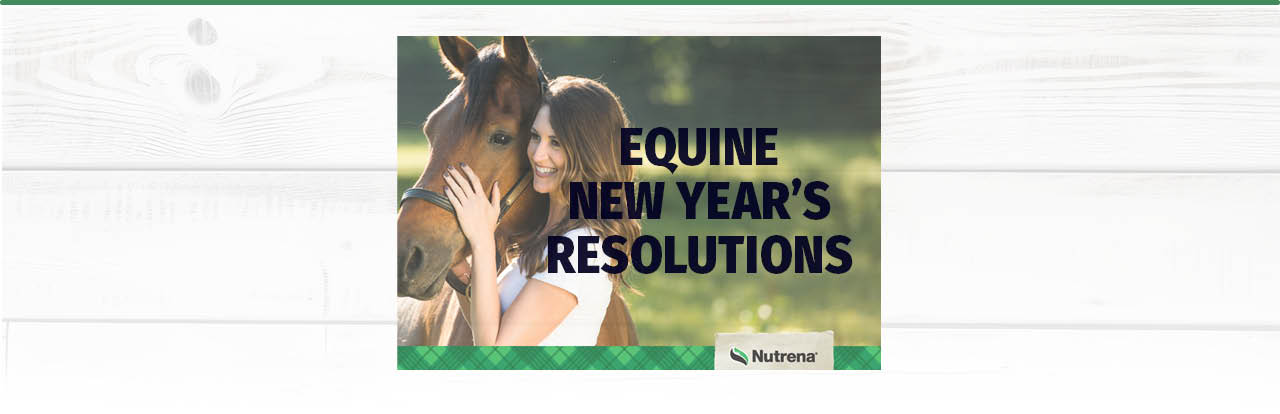 Equine New Year's Resolutions