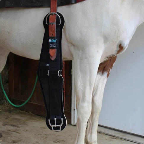 Sizing a Cinch