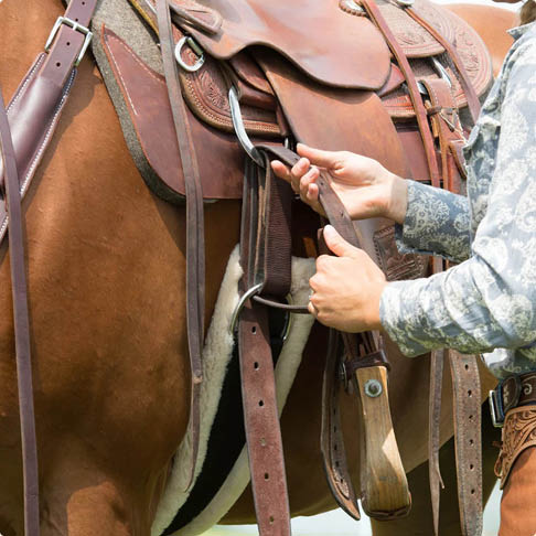 Fitting a Cinch