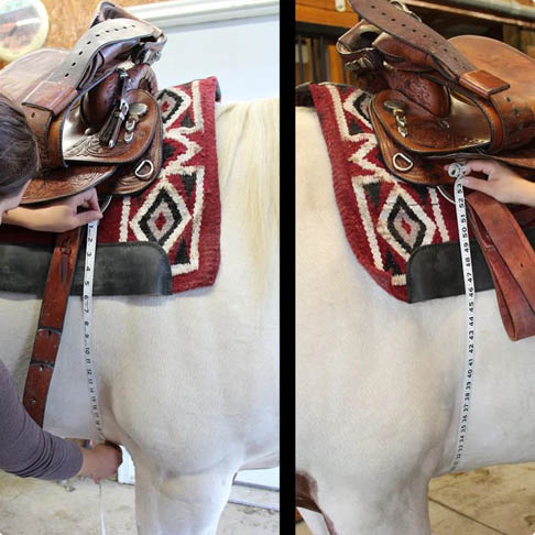 Measuring for a Cinch