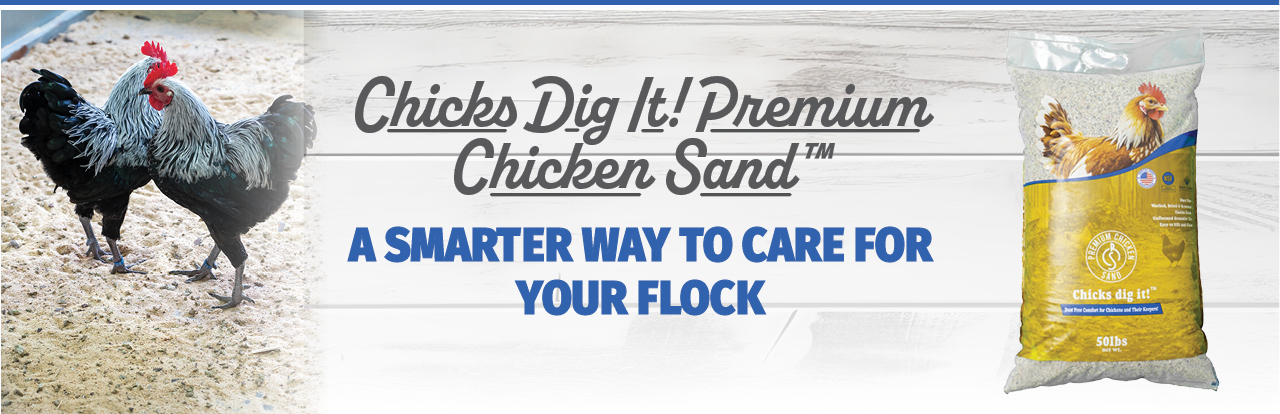 Chicks Dig It!™ Premium Chicken Sand